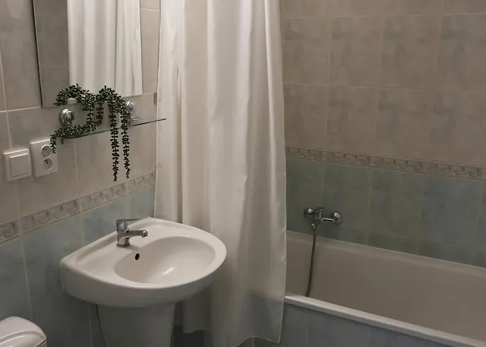Morava 311 šafaříkova 855